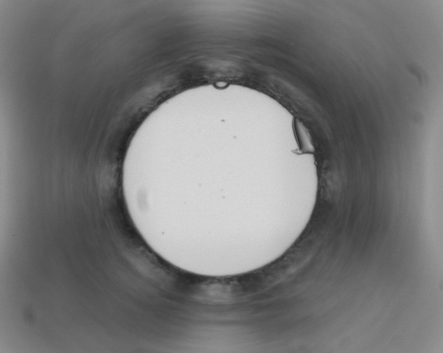 X0000113900756200910221438