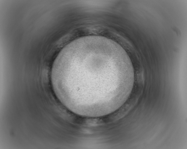 X0000113900757200910221438