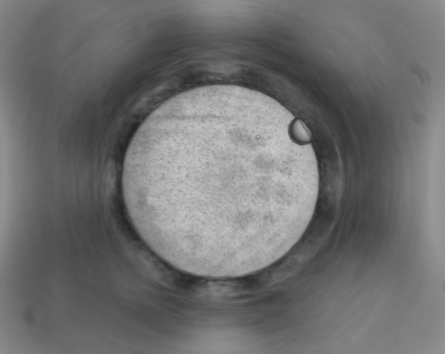 X0000113900758200910221438