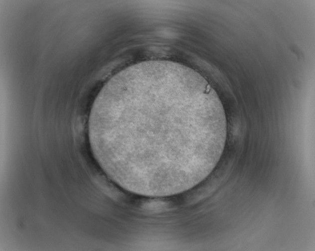 X0000113900759200910221438