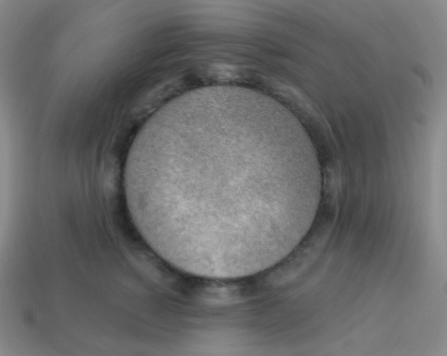 X0000113900760200910221438