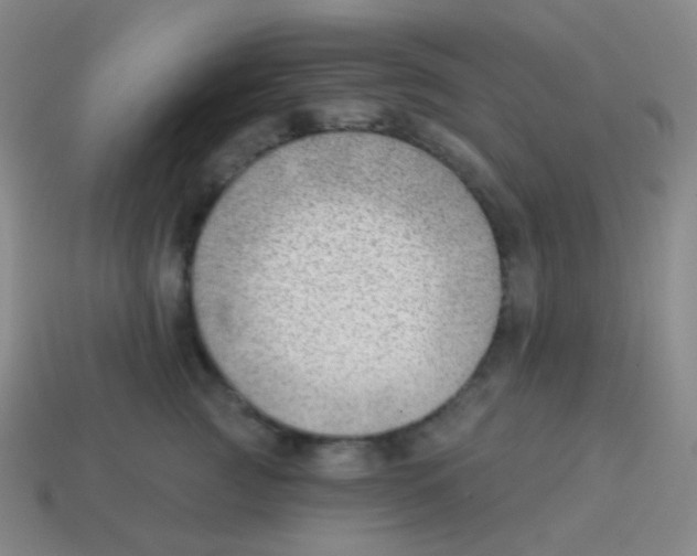 X0000113900761200910221438