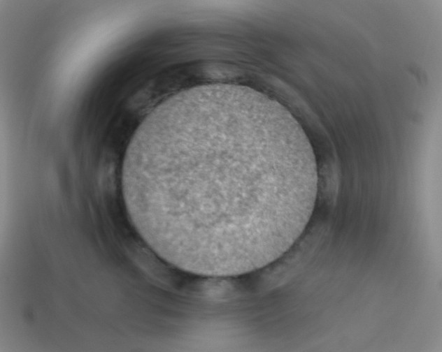 X0000113900762200910221438