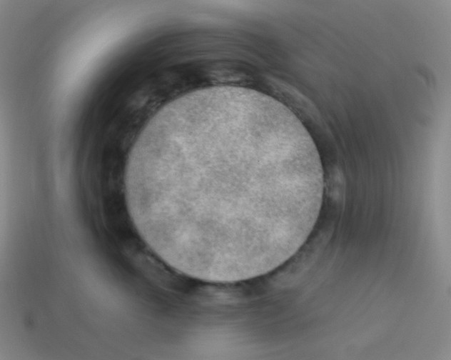 X0000113900763200910221438