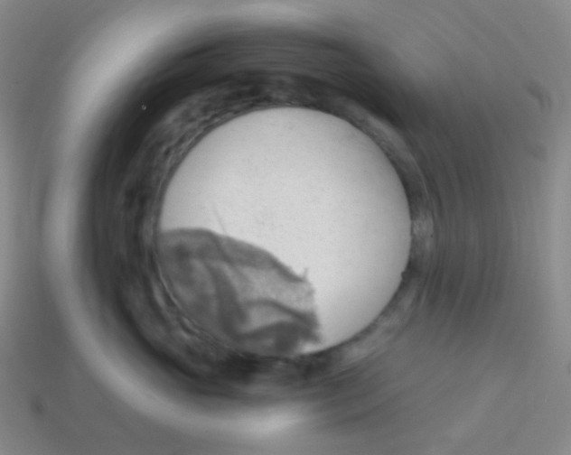 X0000113900765200910221438