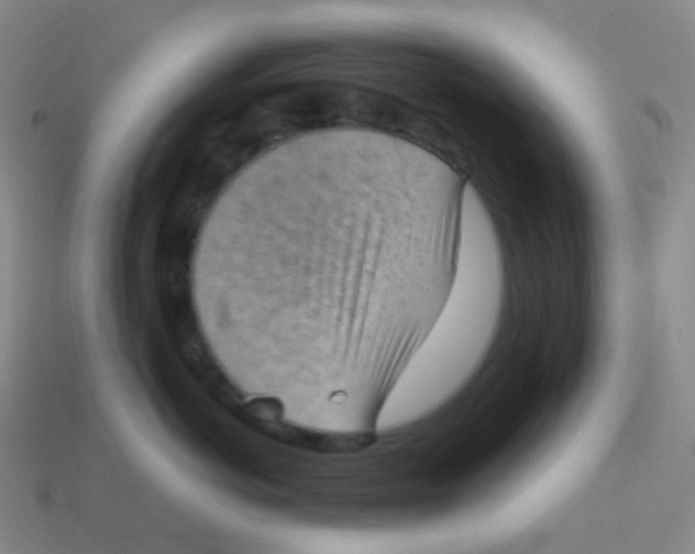 X0000113900766200910221438