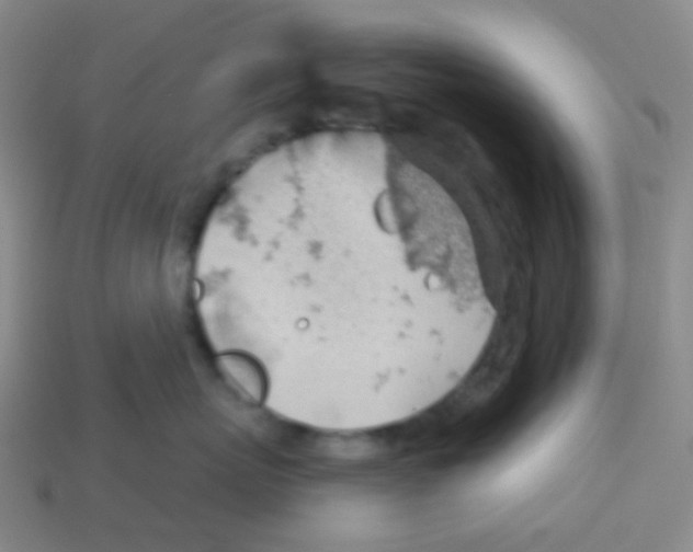 X0000113900767200910221438