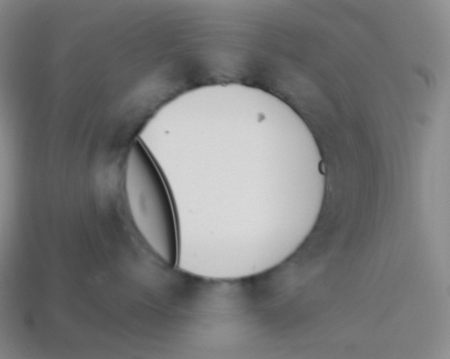 X0000113900768200910221438