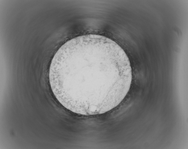 X0000113900769200910221437