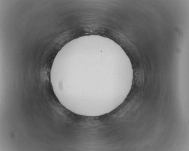 X0000113900770200910221437