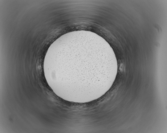 X0000113900771200910221437