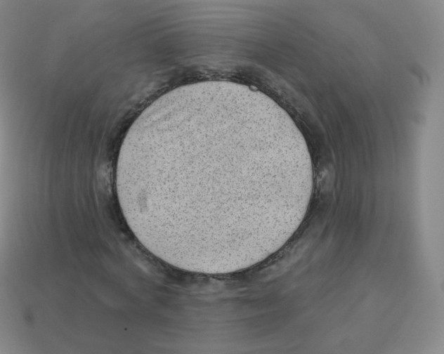 X0000113900772200910221437