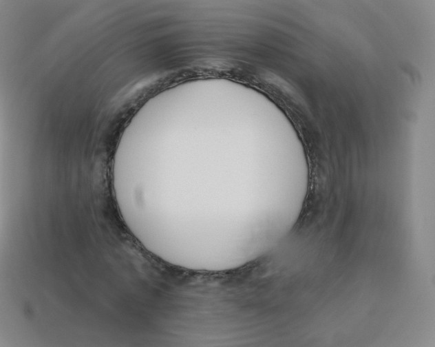 X0000113900773200910221437