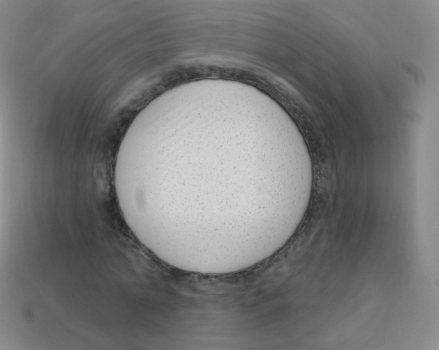 X0000113900774200910221437