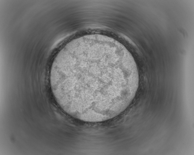 X0000113900775200910221437