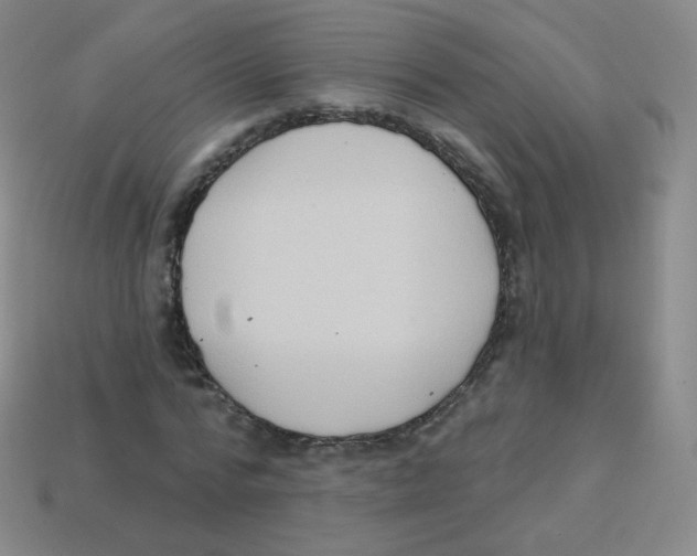 X0000113900776200910221437