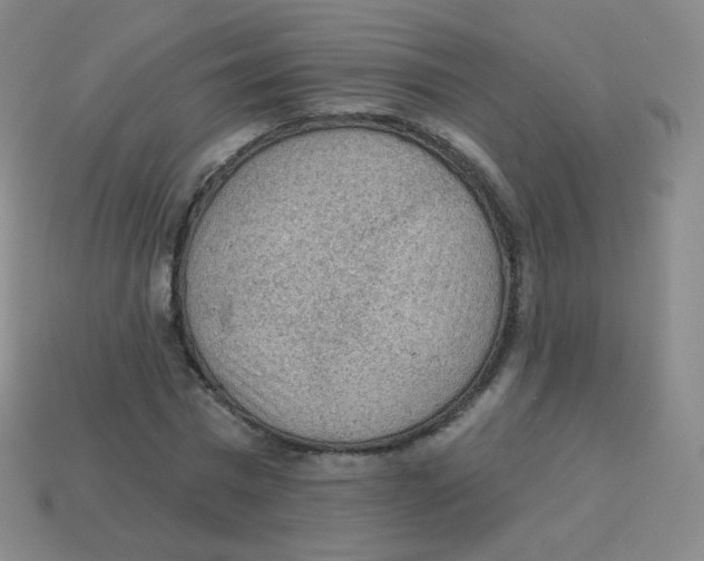 X0000113900777200910221437