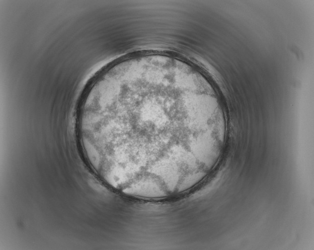 X0000113900779200910221437