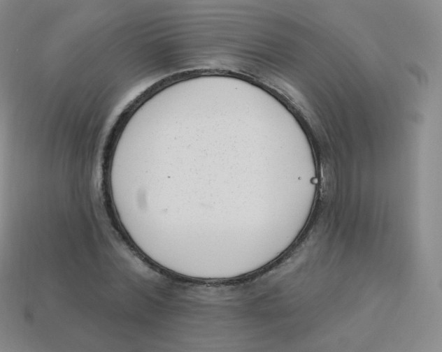 X0000113900780200910221437