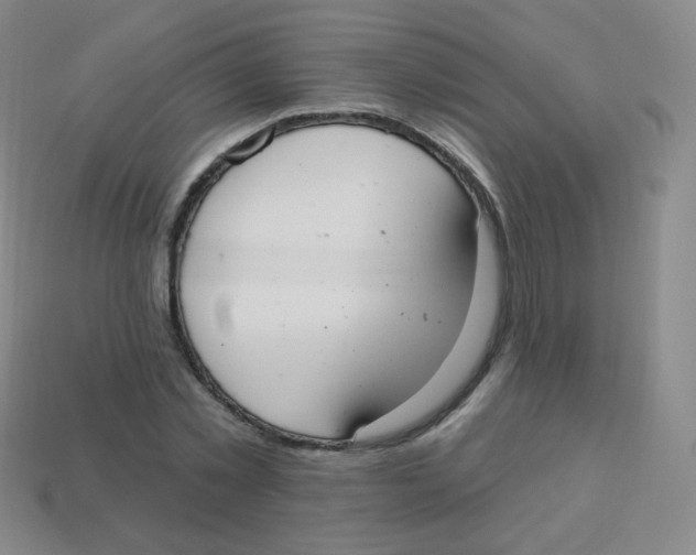 X0000113900781200910221437