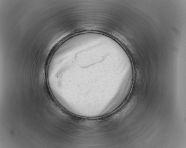 X0000113900782200910221437