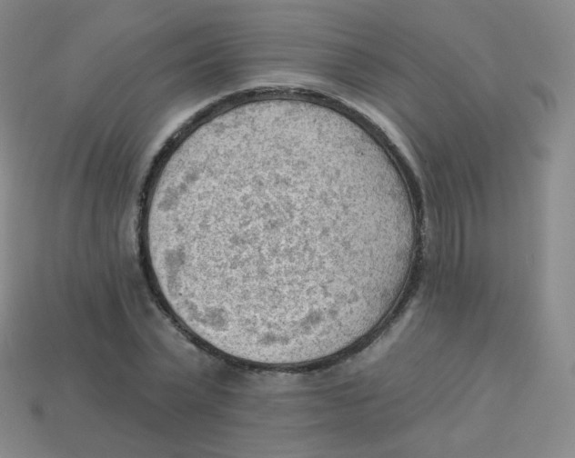 X0000113900783200910221437