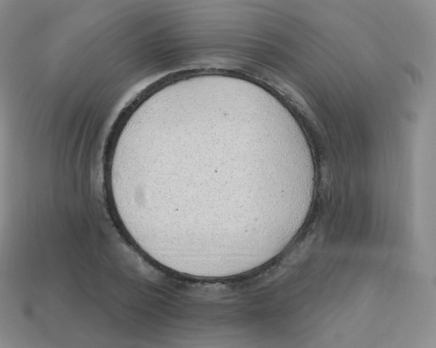 X0000113900784200910221437