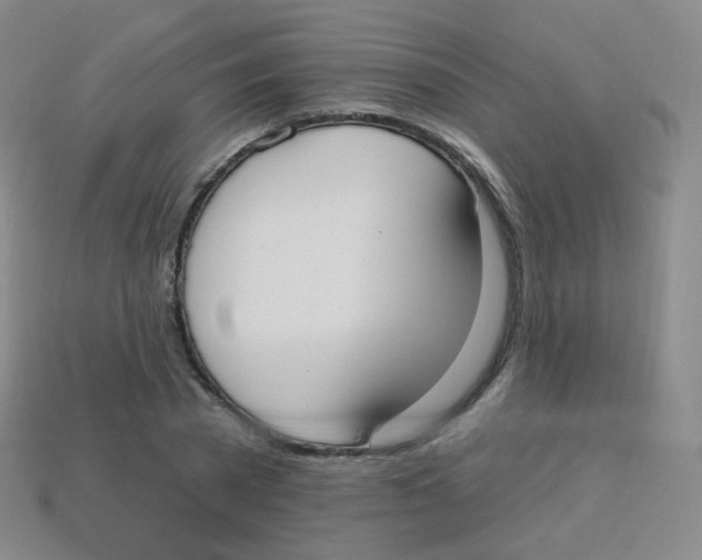 X0000113900785200910221437