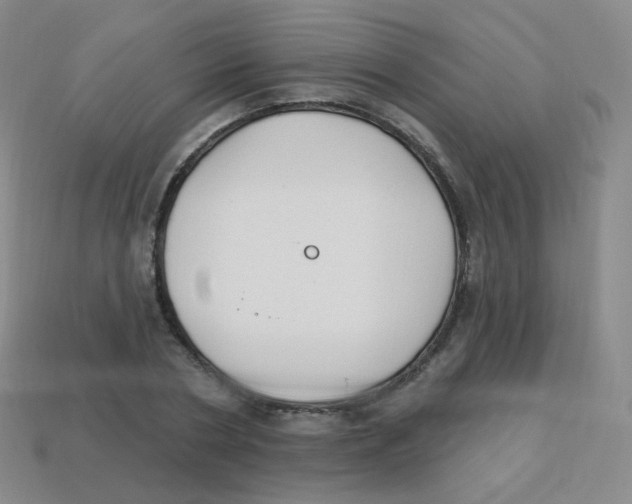 X0000113900786200910221437