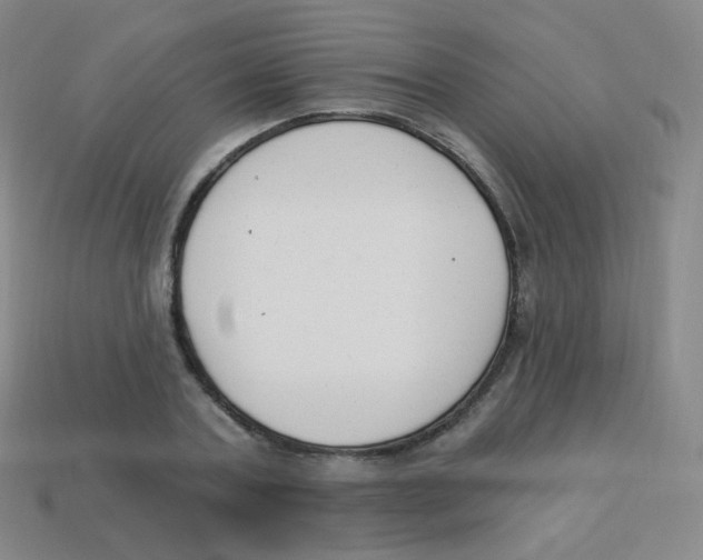 X0000113900787200910221437