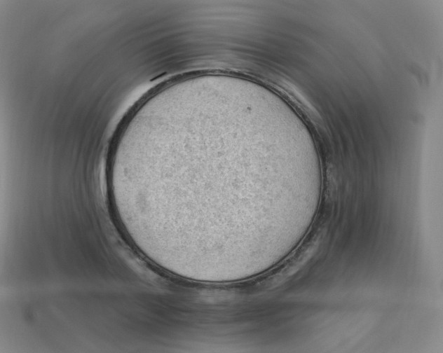 X0000113900788200910221437