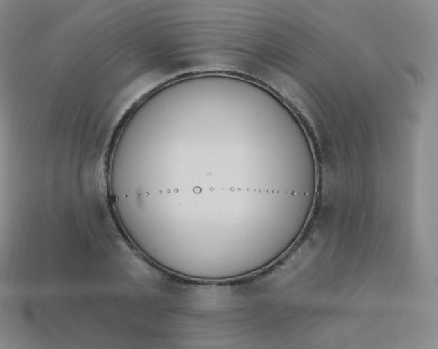 X0000113900789200910221437