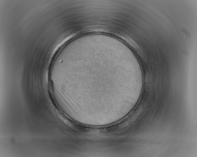 X0000113900790200910221437