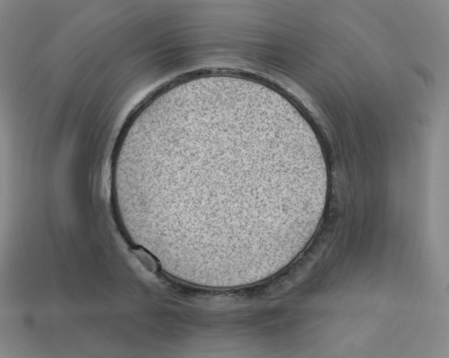 X0000113900791200910221437