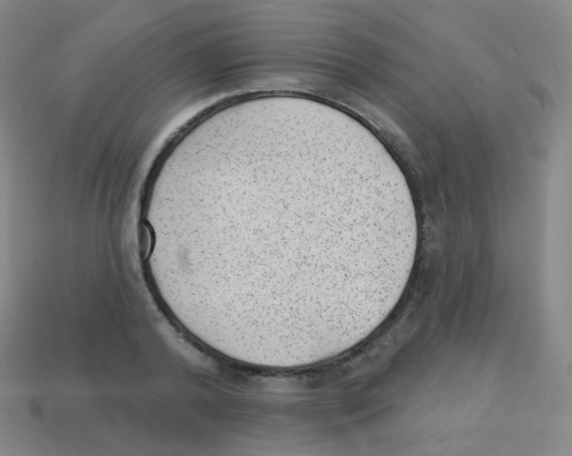 X0000113900792200910221437