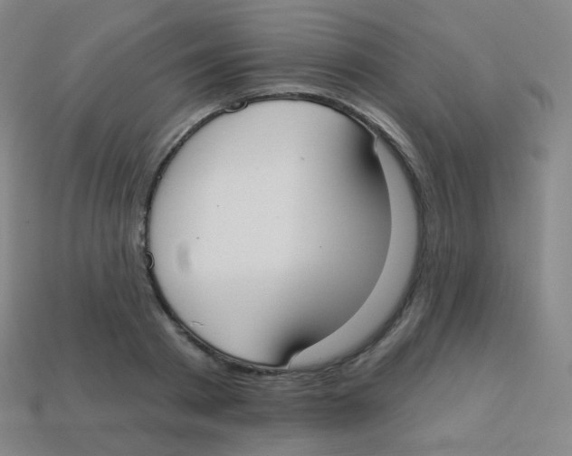 X0000113900793200910221437