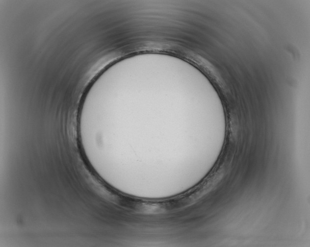 X0000113900794200910221437