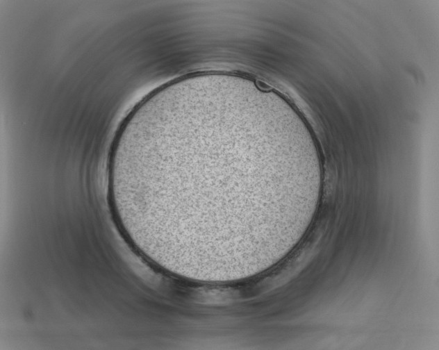 X0000113900795200910221437