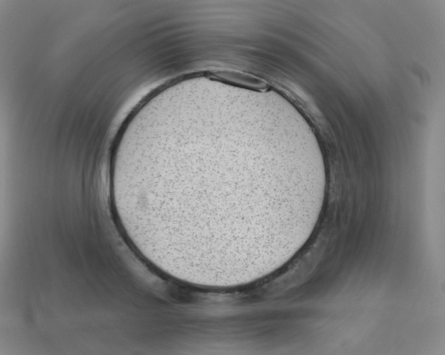 X0000113900796200910221437