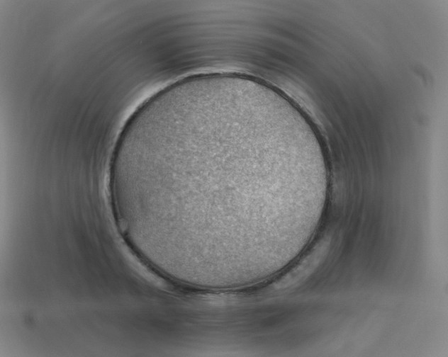 X0000113900797200910221437