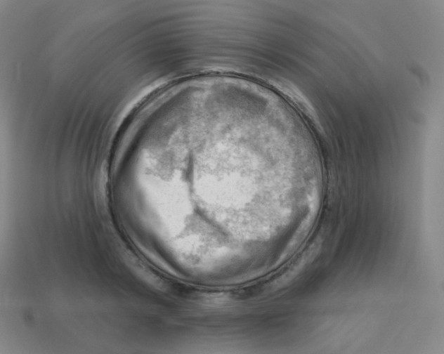 X0000113900798200910221437