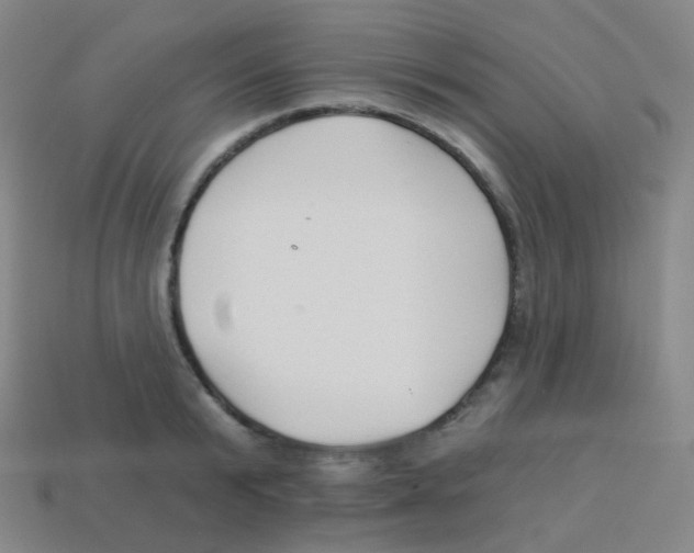 X0000113900799200910221437