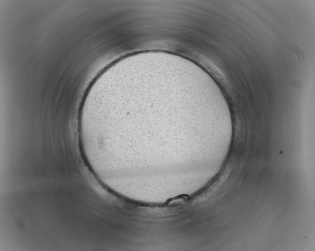 X0000113900800200910221437