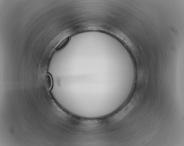 X0000113900801200910221437