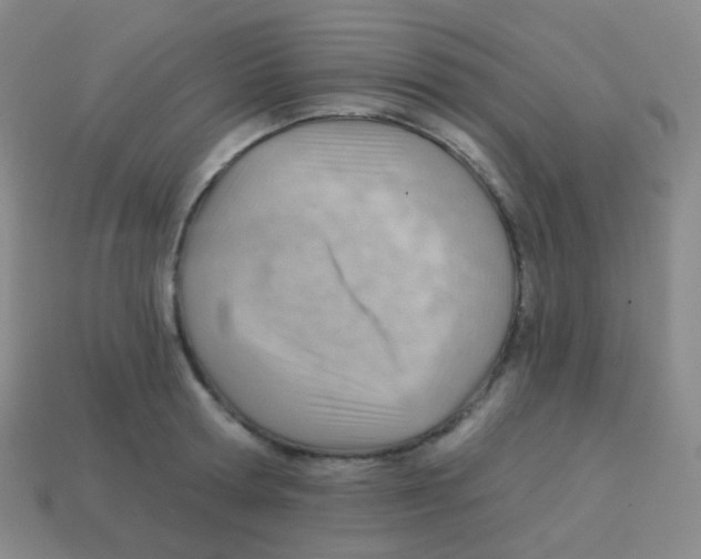 X0000113900802200910221437