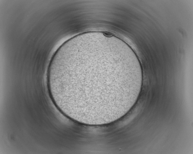 X0000113900803200910221437