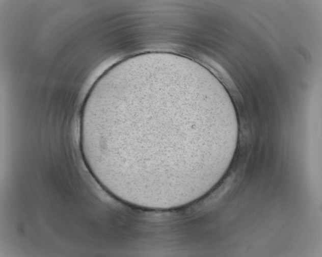 X0000113900804200910221437