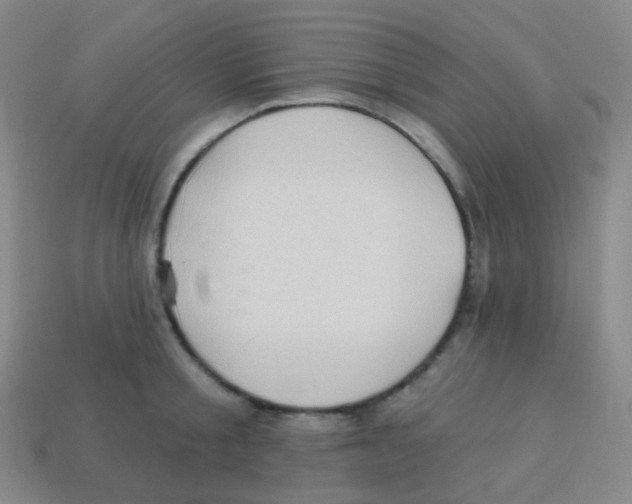 X0000113900805200910221437