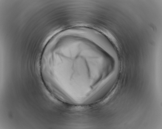 X0000113900806200910221437