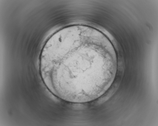 X0000113900807200910221437